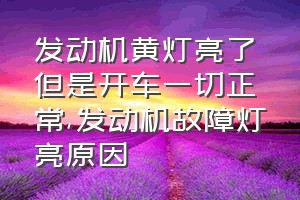 发动机黄灯亮了但是开车一切正常（发动机故障灯亮原因）