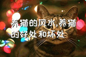 养猫的风水（养猫的好处和坏处）