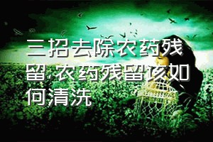 三招去除农药残留（农药残留该如何清洗）