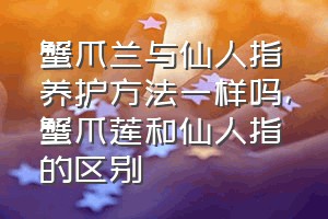 蟹爪兰与仙人指养护方法一样吗（蟹爪莲和仙人指的区别）