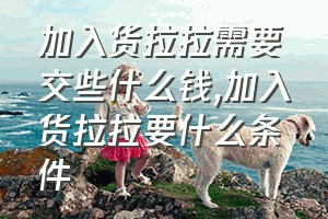 加入货拉拉需要交些什么钱（加入货拉拉要什么条件）