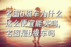 名图b级车为什么这么便宜能买吗（名图是b级车吗）