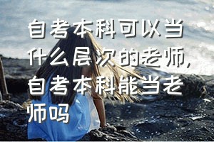 自考本科可以当什么层次的老师（自考本科能当老师吗）