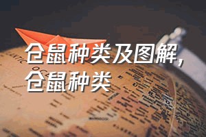 仓鼠种类及图解（仓鼠种类）