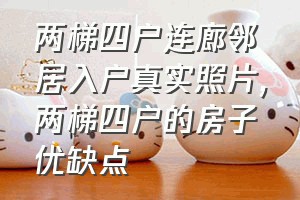 两梯四户连廊邻居入户真实照片（两梯四户的房子优缺点）