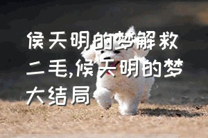 侯天明的梦解救二毛（候天明的梦大结局）