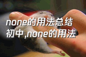 none的用法总结初中（none的用法）