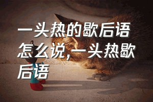 一头热的歇后语怎么说（一头热歇后语）