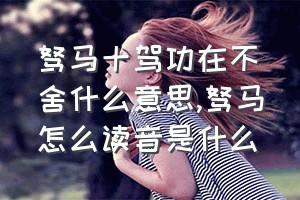 驽马十驾功在不舍什么意思（驽马怎么读音是什么）