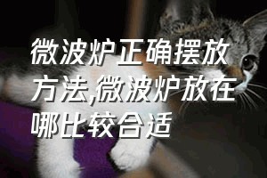 微波炉正确摆放方法（微波炉放在哪比较合适）