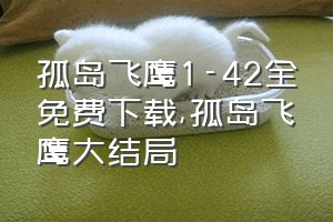 孤岛飞鹰1-42全免费下载（孤岛飞鹰大结局）