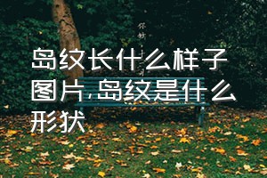 岛纹长什么样子图片（岛纹是什么形状）