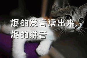 烬的发音读出来（烬的拼音）