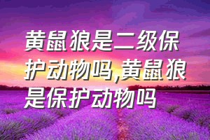 黄鼠狼是二级保护动物吗（黄鼠狼是保护动物吗）