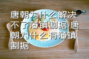 唐朝为什么解决不了藩镇割据（唐朝为什么有藩镇割据）