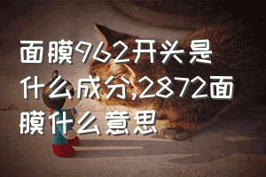 面膜962开头是什么成分（2872面膜什么意思）