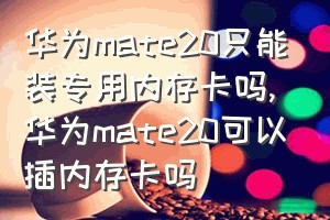 华为mate20只能装专用内存卡吗（华为mate20可以插内存卡吗）