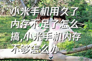 小米手机用久了内存不足了怎么搞（小米手机内存不够怎么办）