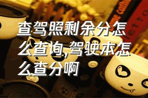 查驾照剩余分怎么查询（驾驶本怎么查分啊）