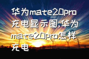 华为mate20pro充电显示图（华为mate20pro怎样充电）