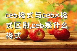 ceb格式与cebx格式区别（ceb是什么格式）