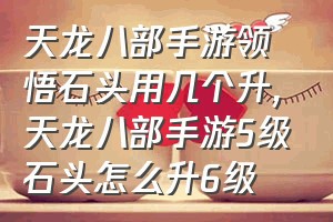 天龙八部手游领悟石头用几个升（天龙八部手游5级石头怎么升6级）