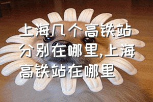 上海几个高铁站分别在哪里（上海高铁站在哪里）