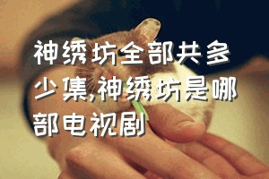 神绣坊全部共多少集（神绣坊是哪部电视剧）