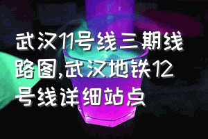 武汉11号线三期线路图（武汉地铁12号线详细站点）