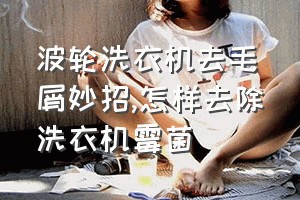 波轮洗衣机去毛屑妙招（怎样去除洗衣机霉菌）