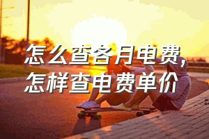 怎么查各月电费（怎样查电费单价）