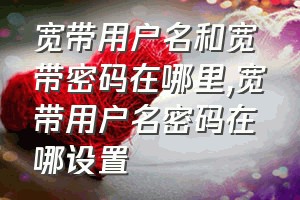 宽带用户名和宽带密码在哪里（宽带用户名密码在哪设置）