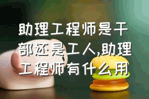 助理工程师是干部还是工人（助理工程师有什么用）