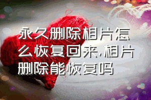 永久删除相片怎么恢复回来（相片删除能恢复吗）