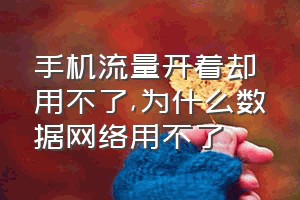 手机流量开着却用不了（为什么数据网络用不了）