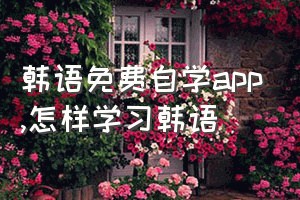 韩语免费自学app（怎样学习韩语）