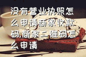 没有营业执照怎么申请商家收款码（商家二维码怎么申请）