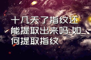 十几天了指纹还能提取出来吗（如何提取指纹）