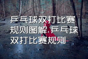 乒乓球双打比赛规则图解（乒乓球双打比赛规则）