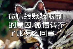 微信转账被限制的原因（微信转不了账怎么回事）