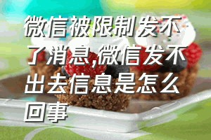 微信被限制发不了消息（微信发不出去信息是怎么回事）