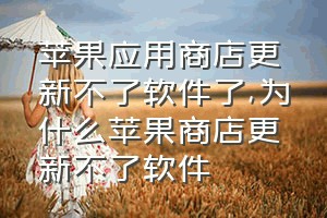 苹果应用商店更新不了软件了（为什么苹果商店更新不了软件）