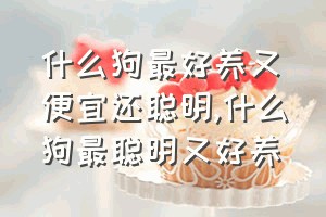 什么狗最好养又便宜还聪明（什么狗最聪明又好养）