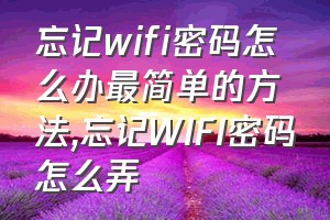 忘记wifi密码怎么办最简单的方法（忘记WIFI密码怎么弄）