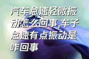 汽车怠速轻微振动怎么回事（车子怠速有点振动是咋回事）