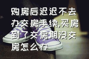 购房后迟迟不去办交房手续（买房到了交房期没交房怎么办）