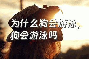 为什么狗会游泳（狗会游泳吗）