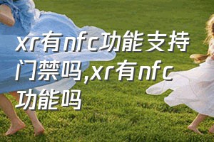 xr有nfc功能支持门禁吗（xr有nfc功能吗）