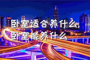 卧室适合养什么（卧室能养什么）