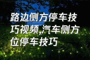 路边侧方停车技巧视频（汽车侧方位停车技巧）